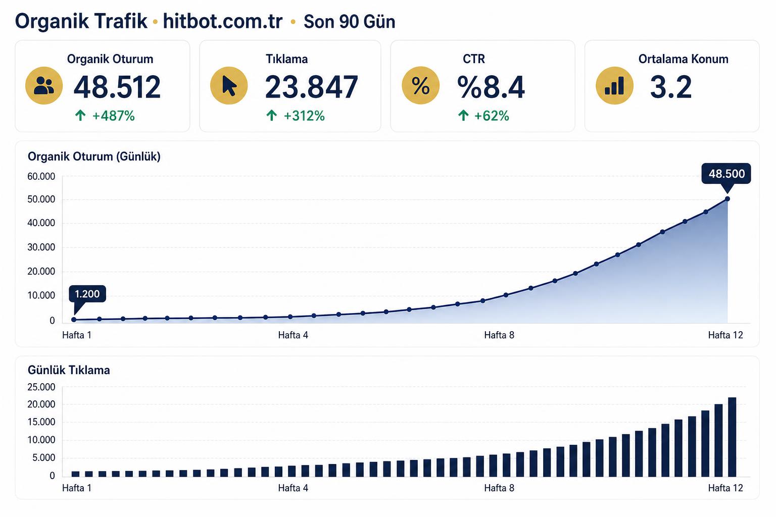 hitbot.com.tr organik trafik yükselişi